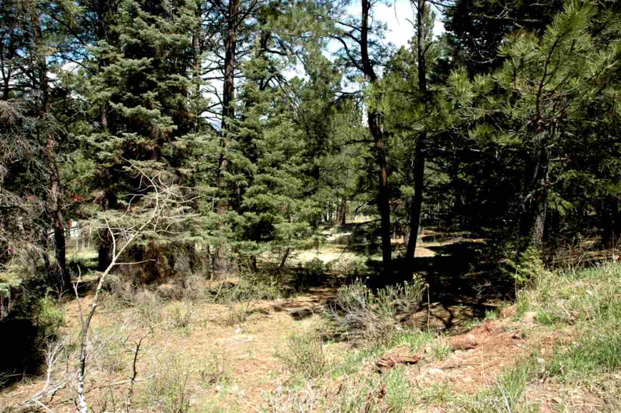 Image for Lot 73 Mammoth Mountain Road