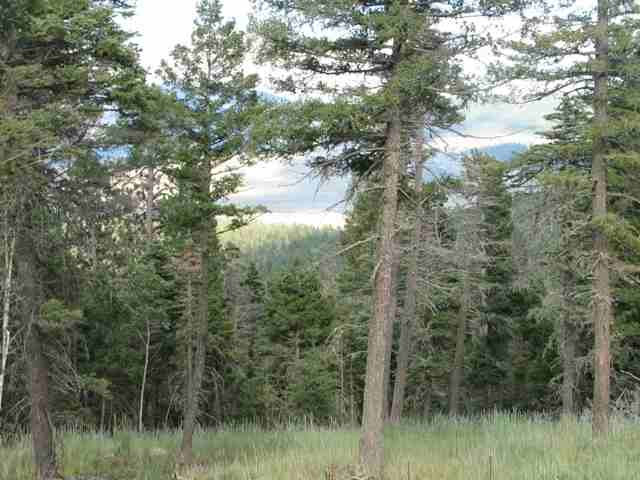 Image for Lot 11 Palo Flechado Ridge Road