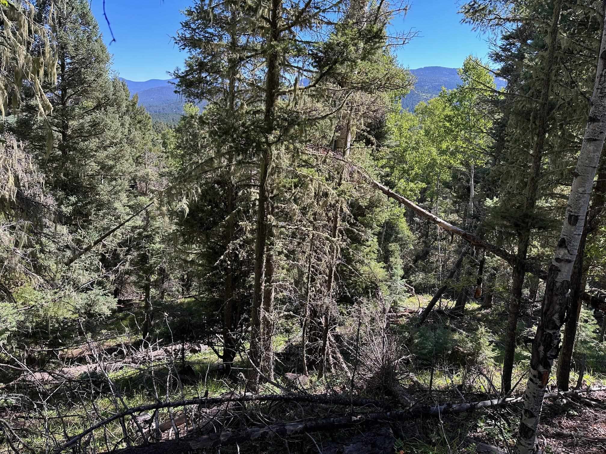 Image for Lot 358 Taos Dr