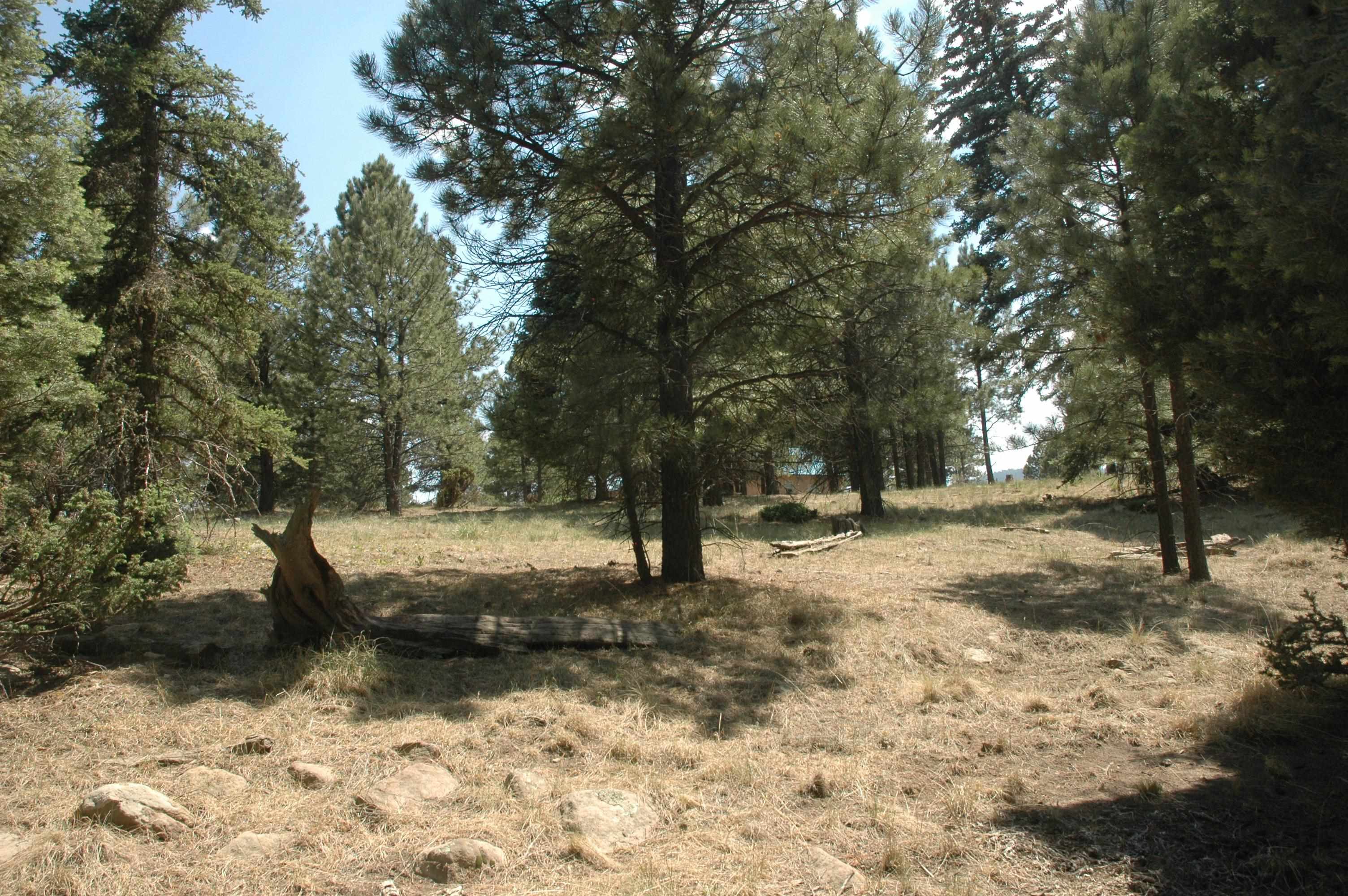 Image for lot 484 sanmateo