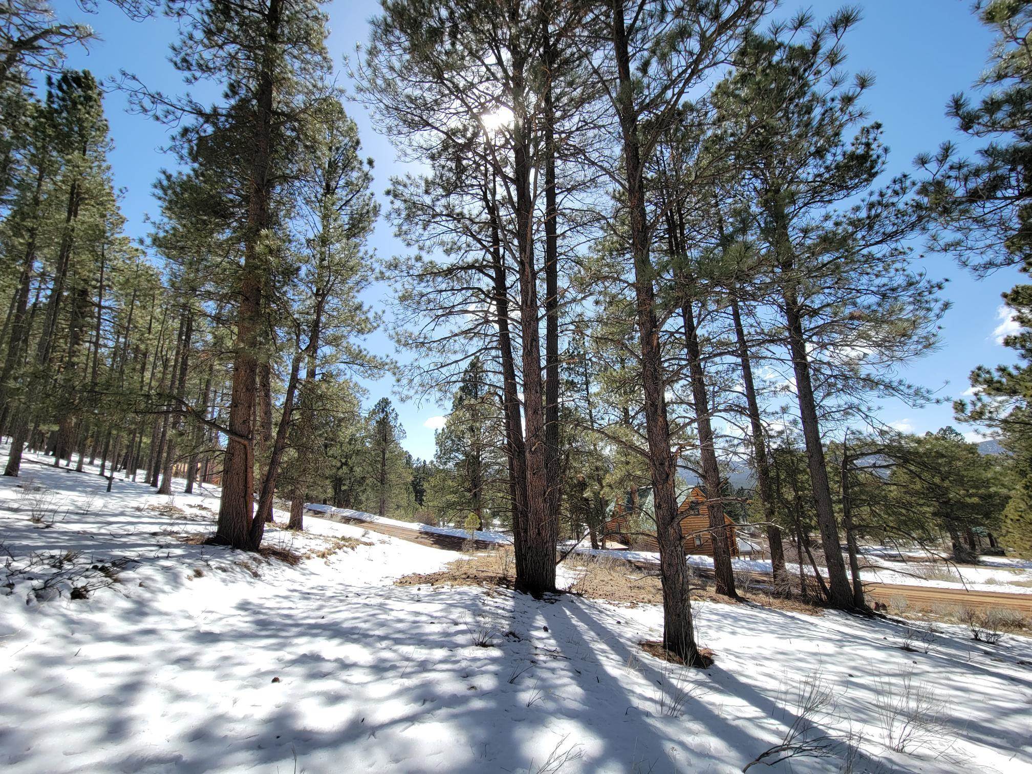 Image for Lot 85 Mammoth Mountain Rd