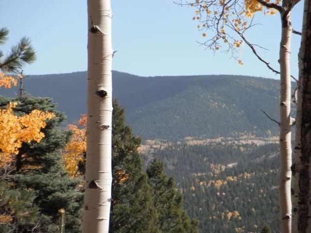 Image for Lot 208 Re Amen Taos Drive