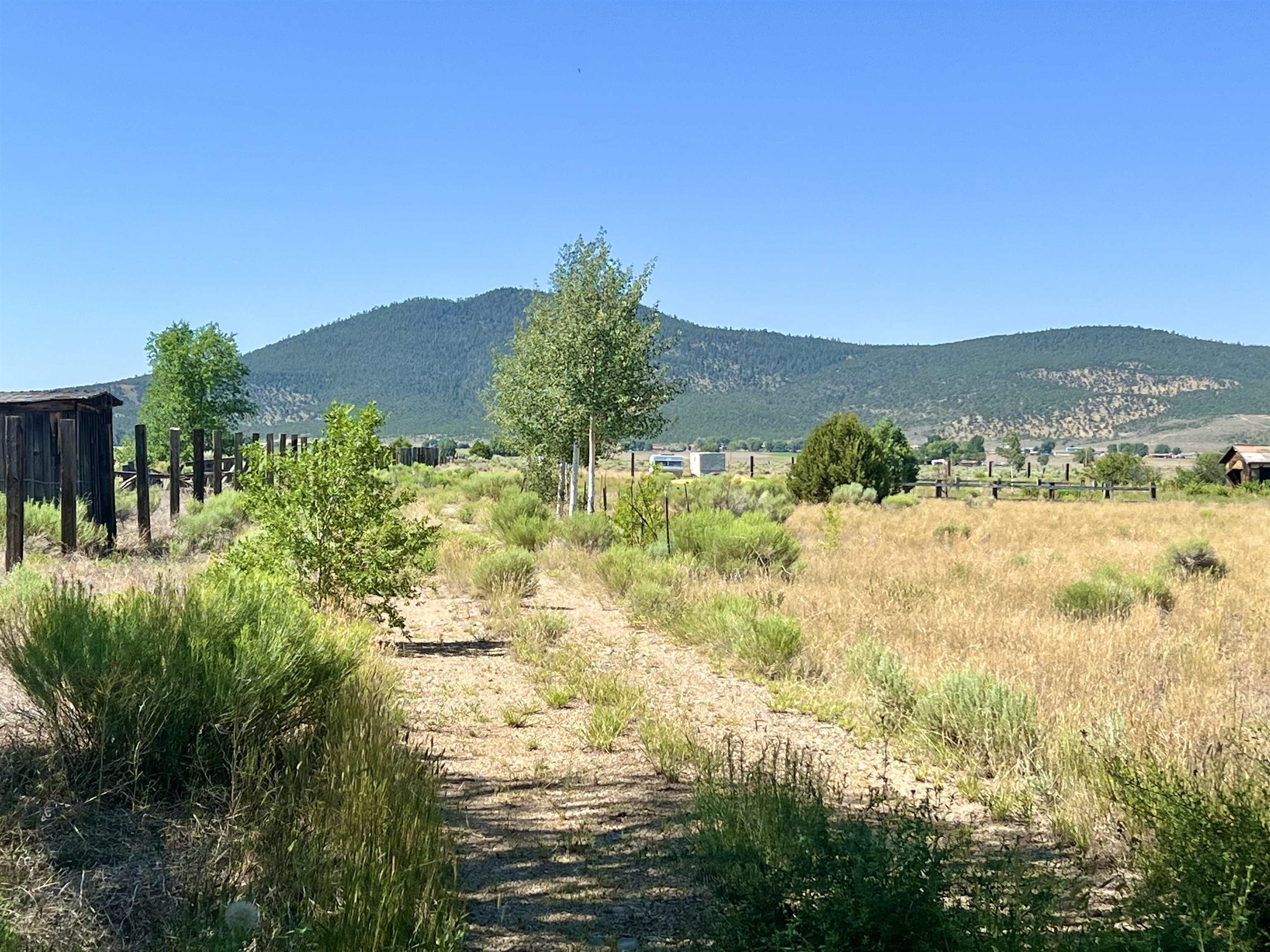 Image for 11 Acres Off Buena Vista Road