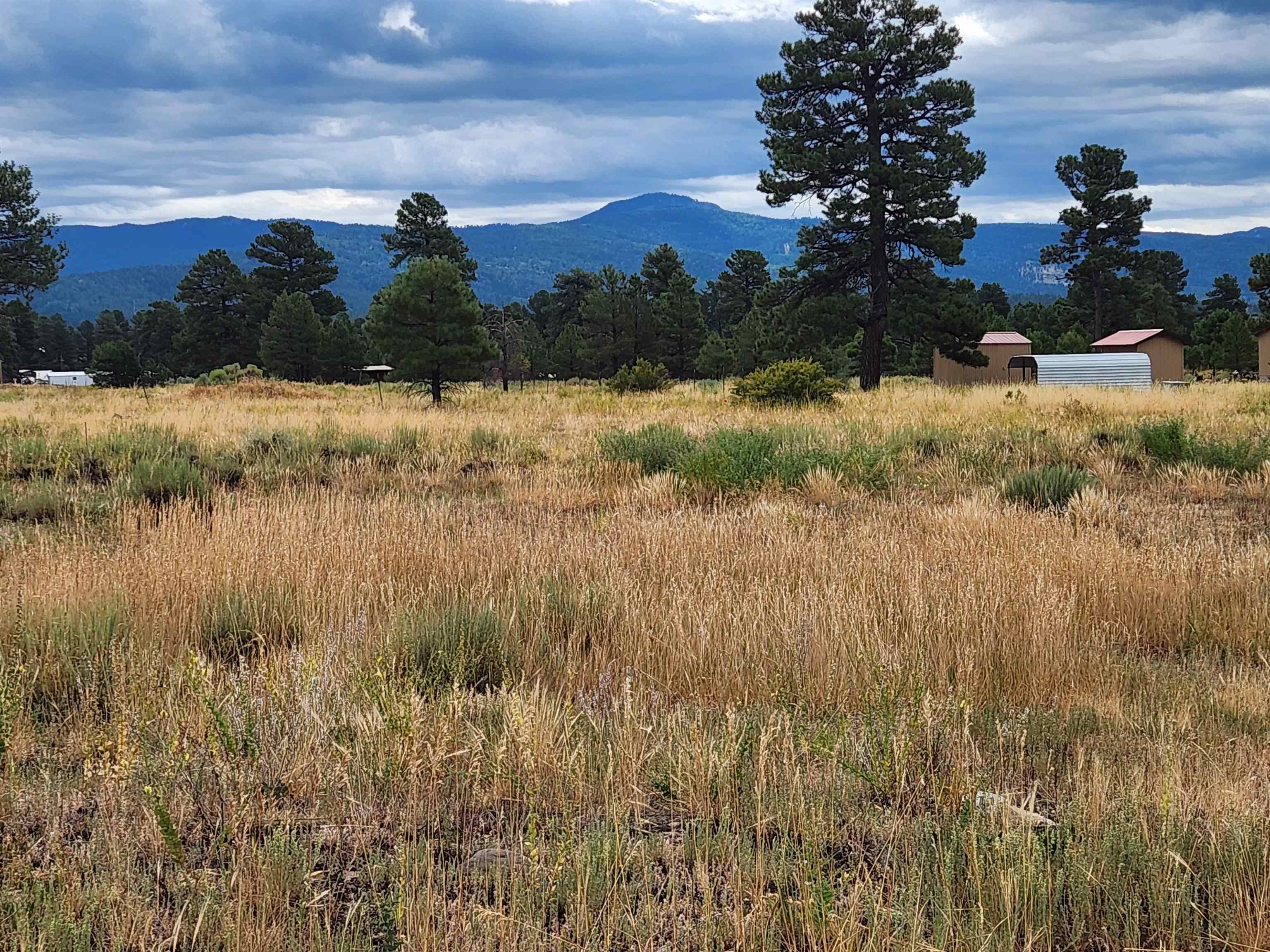 Image for 1352 capulin