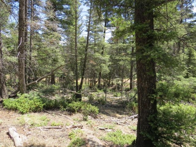 Image for TBD Peak Place Lot 213