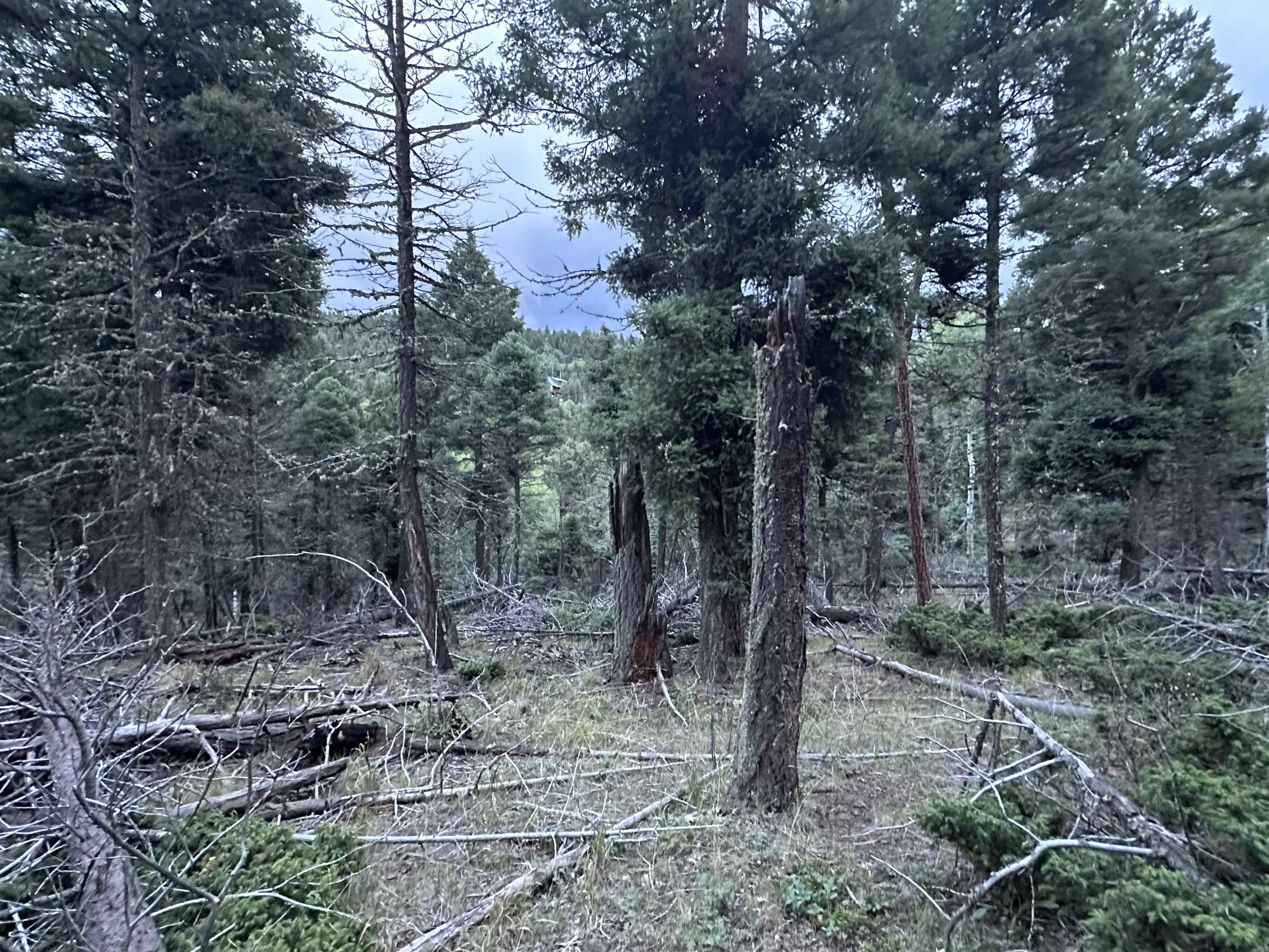 Image for Lot 279 Vail Loop