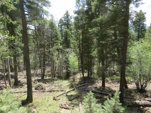 Image for TBD Panorama Way Lot 1144