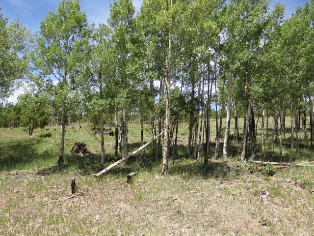 Image for TBD Beaver Loop Lot 152