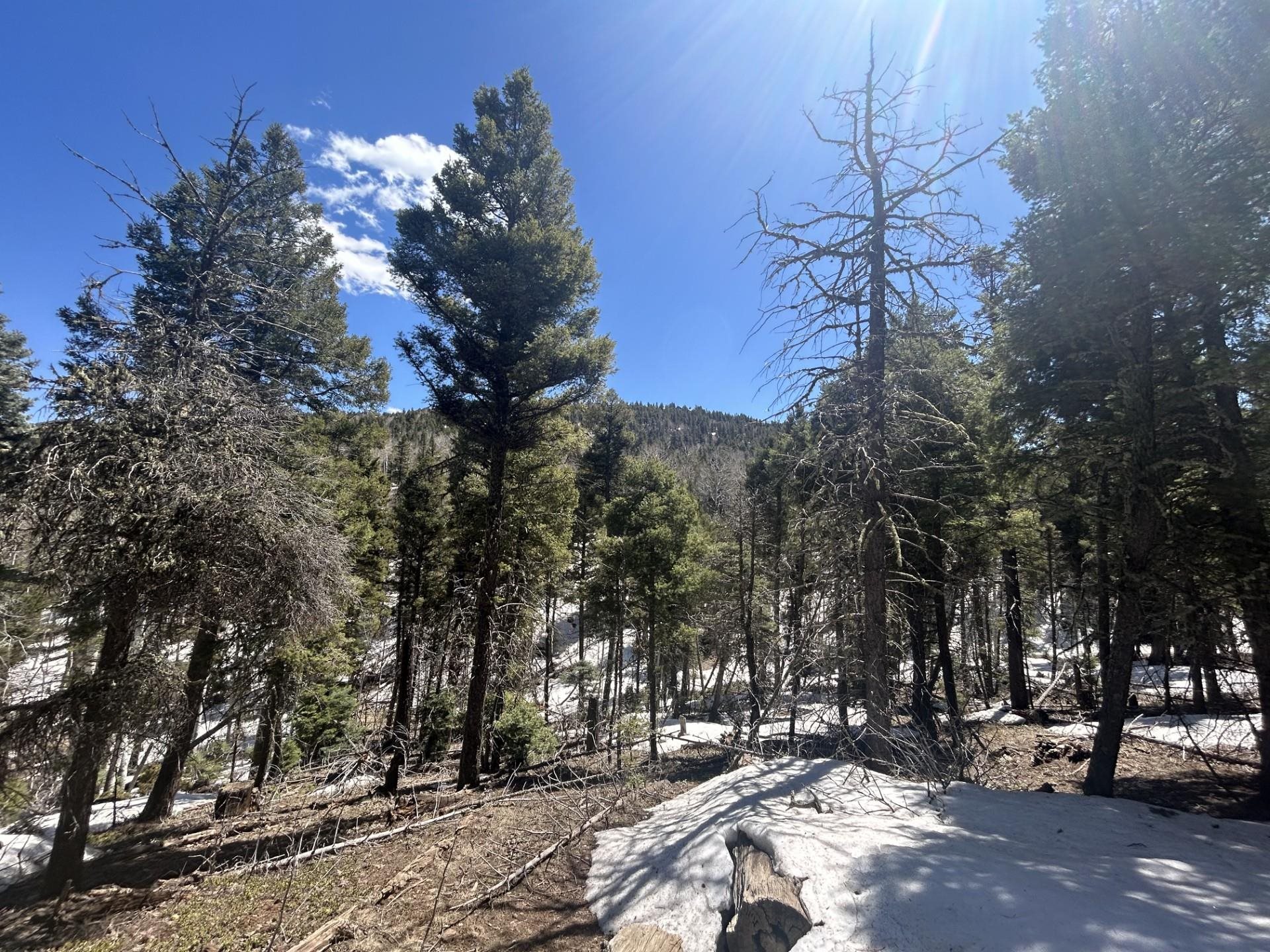 Image for Lot 369 Vail Loop