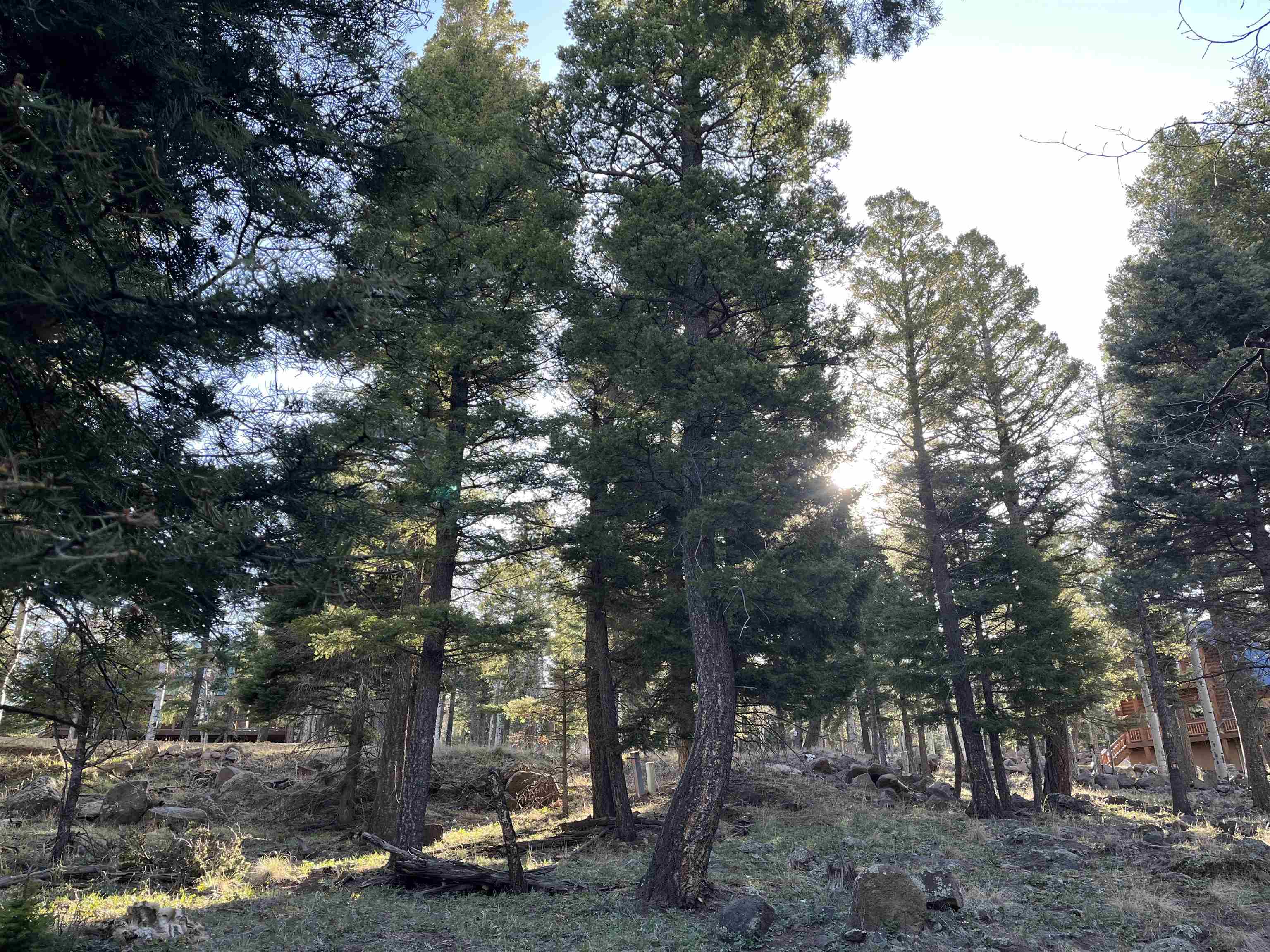 Image for Lot 1443 Sunrise Overlook