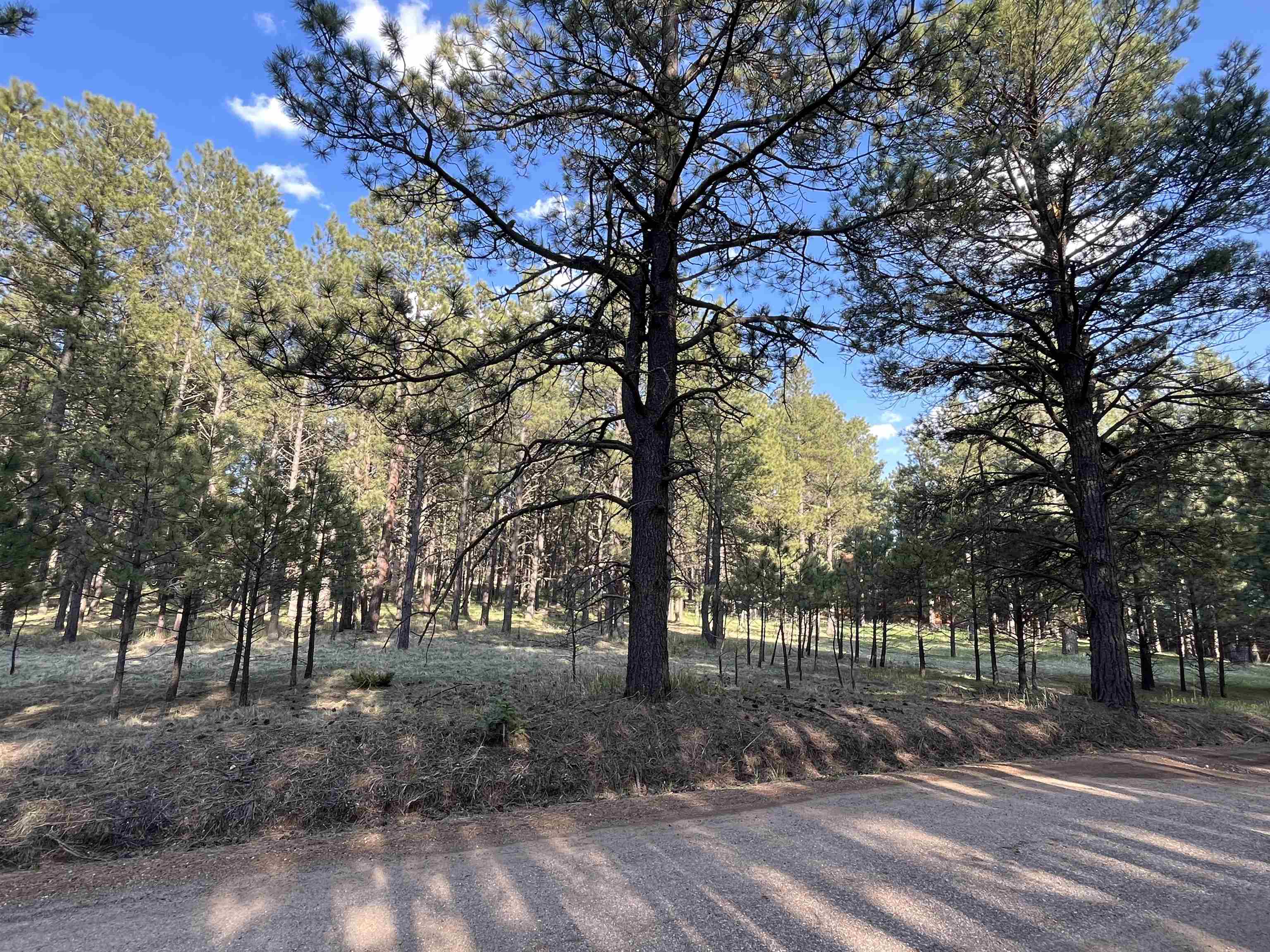 Image for Lot 8 Pine Valley Dr