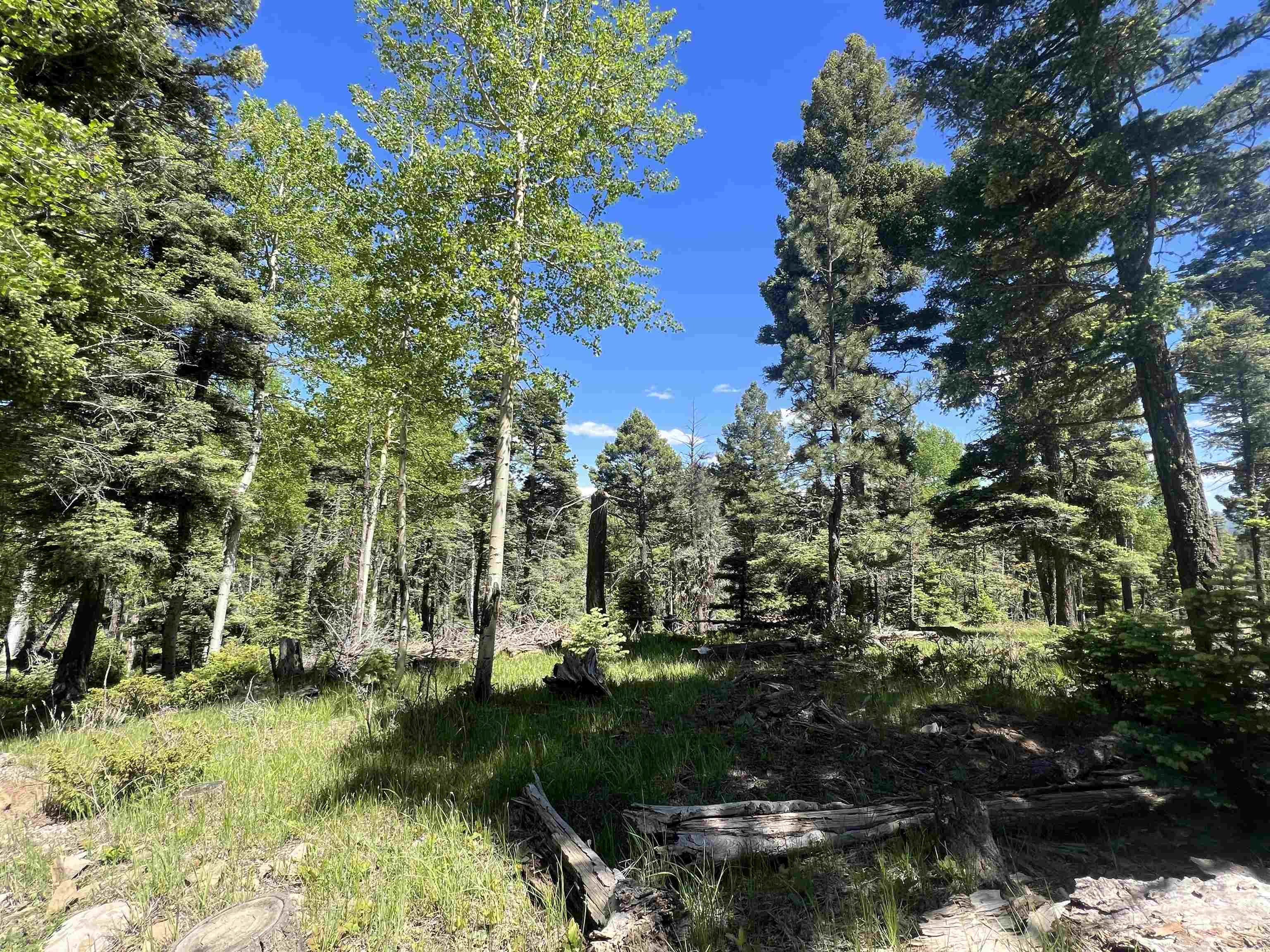 Image for Lot 183 Taos Drive