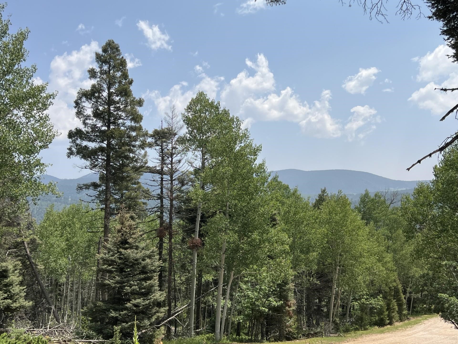 Image for Lot 198A Taos Dr