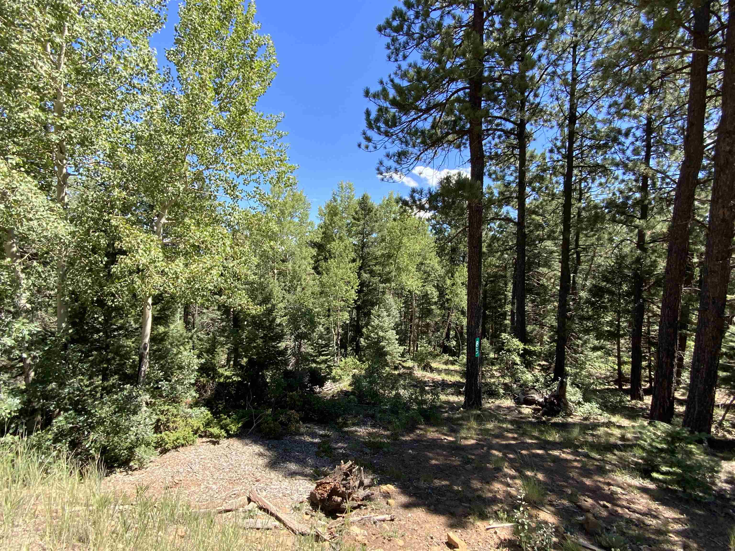 Image for Lot 22 Taos Pines Ranch Rd