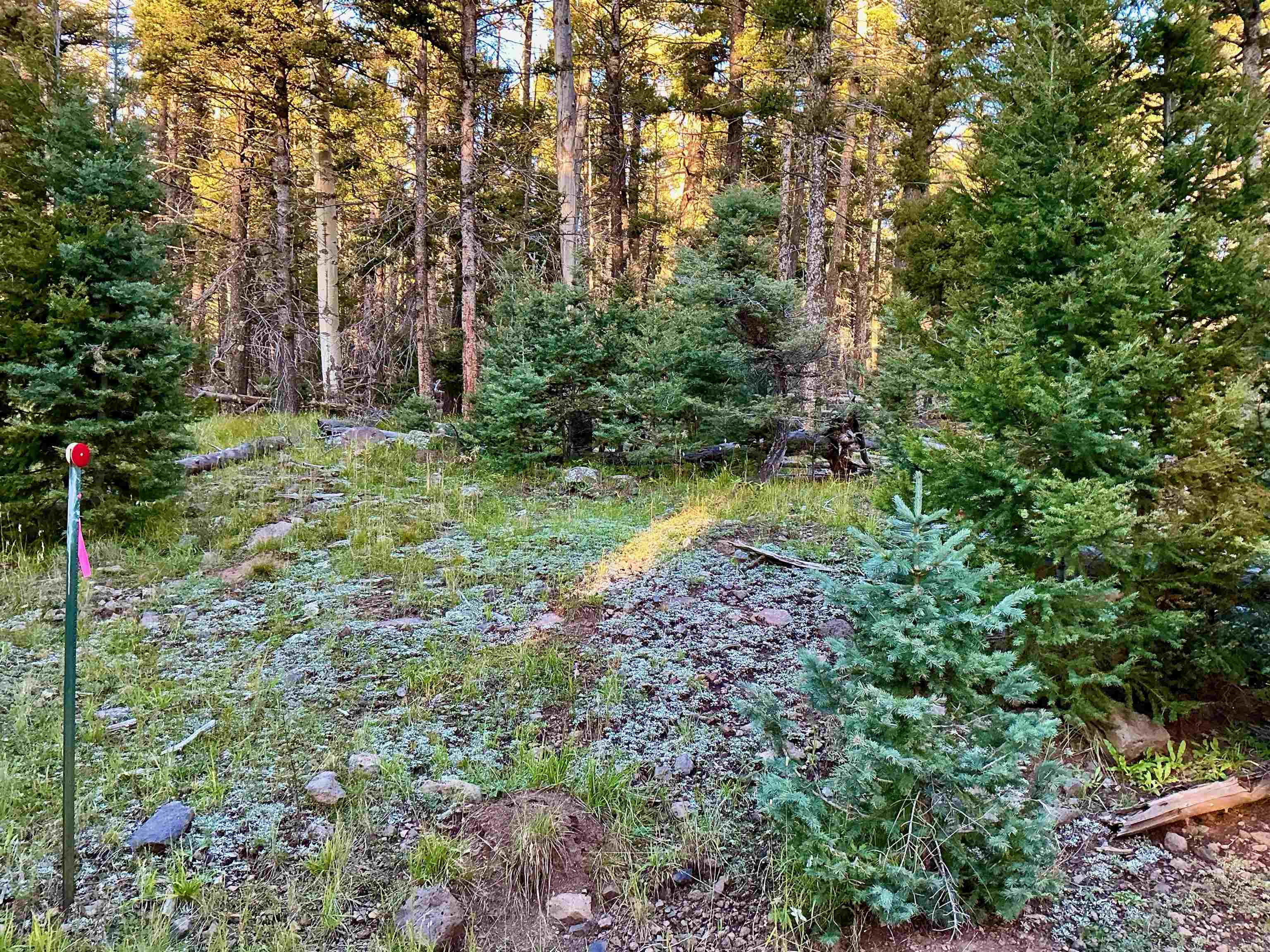 Image for Lot 1332 Skyview Way