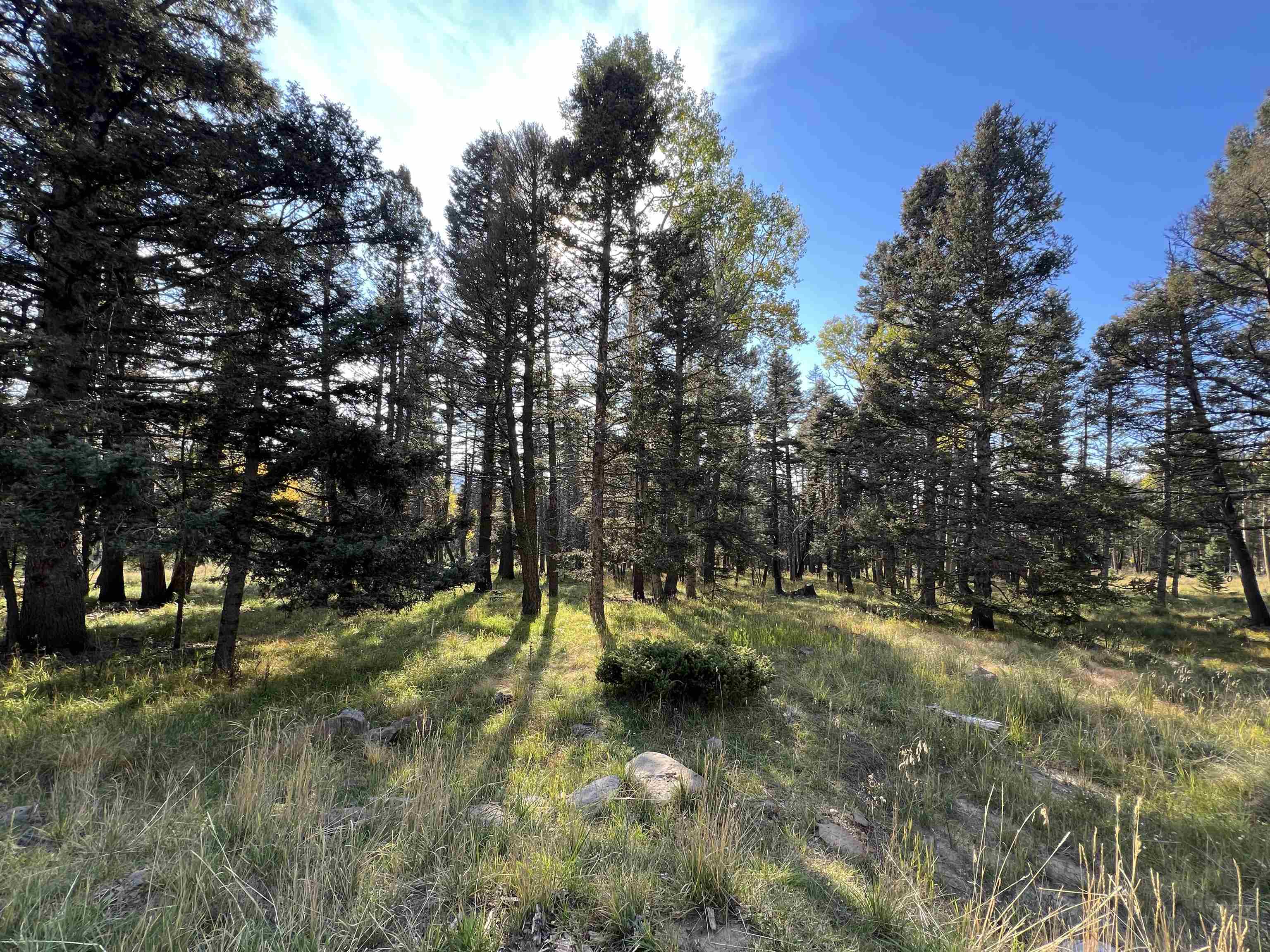 Image for Lot 1319 Pleasant Valley Overlook